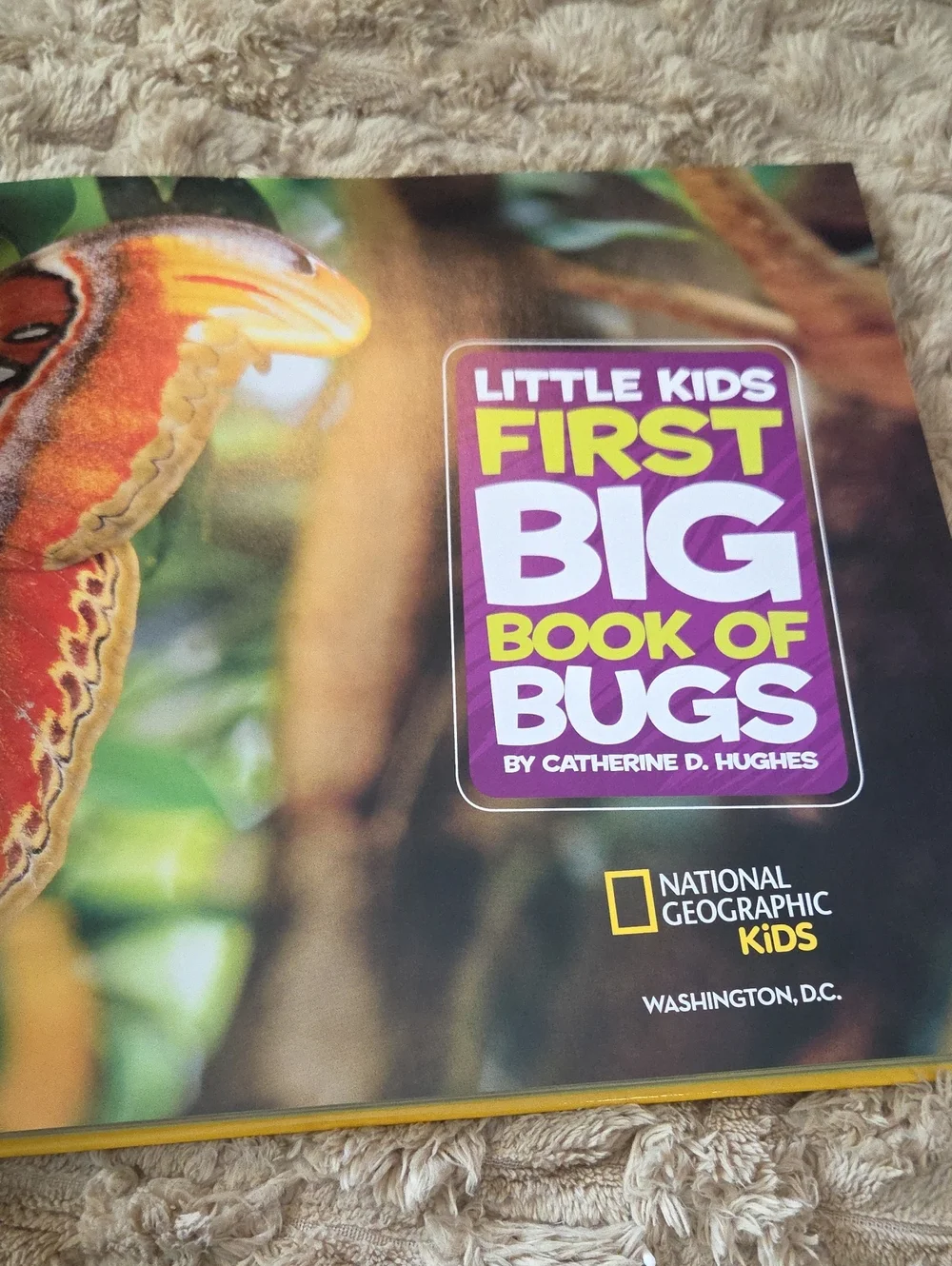 National Geographic Kids First Big Book of Bugs - Yellow and Red Cover